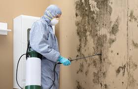 Best Water Damage & Mold Remediation  in Mcdade, TX